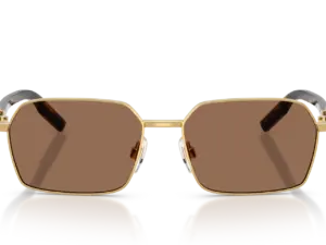 DOLCE & GABBANA  DG2316 02/73