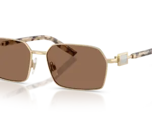 DOLCE & GABBANA  DG2316 488/73