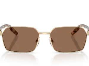 DOLCE & GABBANA  DG2316 488/73