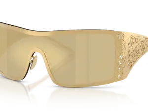 DOLCE & GABBANA  DG2317 02/7I