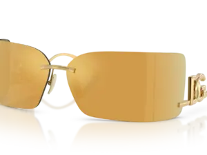 DOLCE & GABBANA  DG2319 02/5A