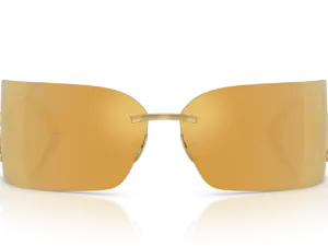 DOLCE & GABBANA  DG2319 02/5A
