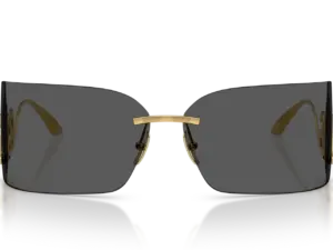 DOLCE & GABBANA  DG2319 02/87