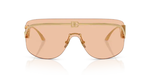 DOLCE & GABBANA  DG2320 02/73