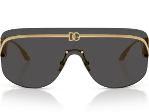 DOLCE & GABBANA  DG2320 02/87