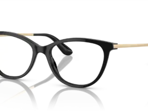 DOLCE & GABBANA  DG3258 501