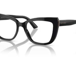DOLCE & GABBANA  DG3308 501