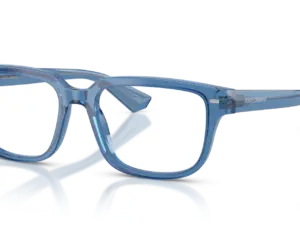 DOLCE & GABBANA  DG3380 3398
