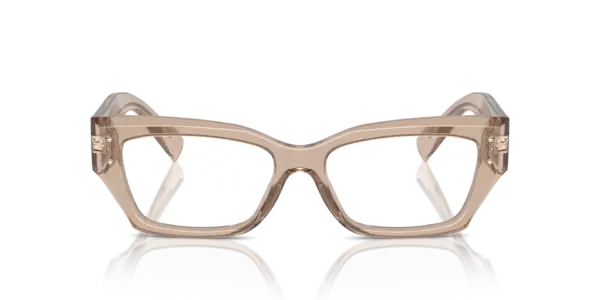 DOLCE & GABBANA  DG3387 3432