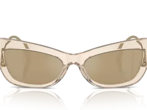 DOLCE & GABBANA  DG4467B 343203