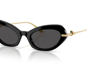 DOLCE & GABBANA  DG4473 501/87