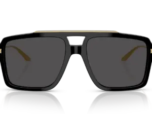 DOLCE & GABBANA  DG4477 501/87