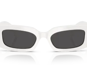 DOLCE & GABBANA  DG4479 331287