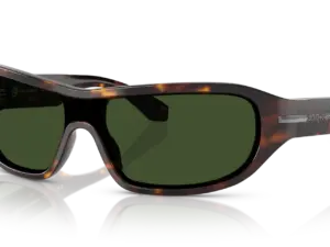 DOLCE & GABBANA  DG4486 502/71