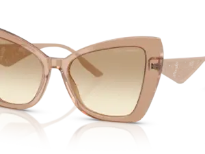 DOLCE & GABBANA  DG4489 343213