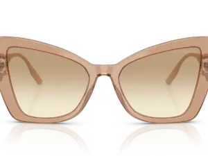 DOLCE & GABBANA  DG4489 343213