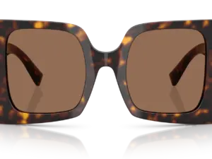 DOLCE & GABBANA  DG4490 502/73