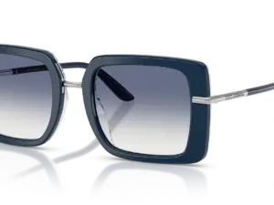 DOLCE & GABBANA  DG4491 341419