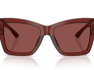 DOLCE & GABBANA  DG4493 304575
