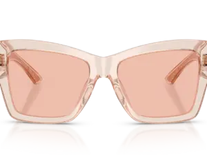 DOLCE & GABBANA  DG4493 314884