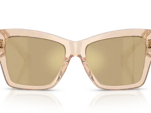 DOLCE & GABBANA  DG4493 343203