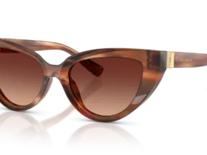 DOLCE & GABBANA  DG4497 322113