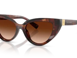 DOLCE & GABBANA  DG4497 322274