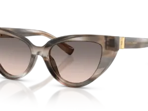 DOLCE & GABBANA  DG4497 34493B