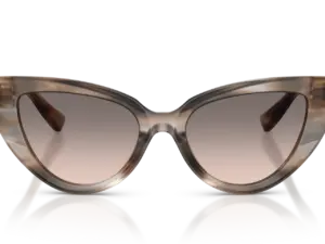 DOLCE & GABBANA  DG4497 34493B