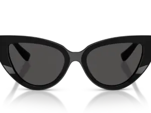 DOLCE & GABBANA  DG4497 501/87