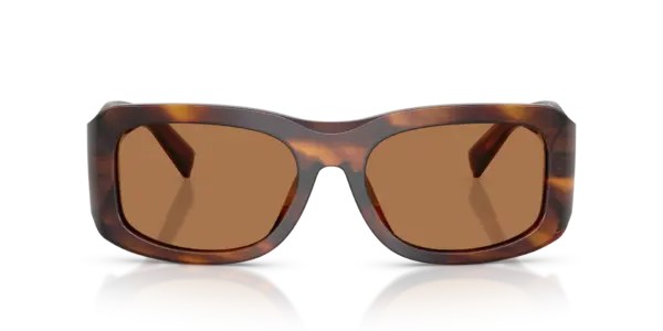 DOLCE & GABBANA  DG4503 306373