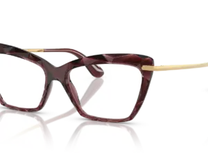 DOLCE & GABBANA  DG5025 3045