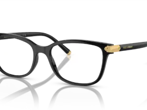 DOLCE & GABBANA  DG5036 501