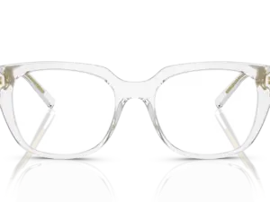 DOLCE & GABBANA  DG5087 3133