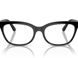 DOLCE & GABBANA  DG5106U 501