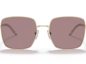 PRADA  PR 55YS ZVN06I