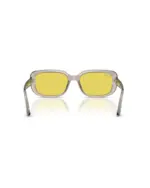 RAY BAN 0RB4421D 681885 - Imagen 2